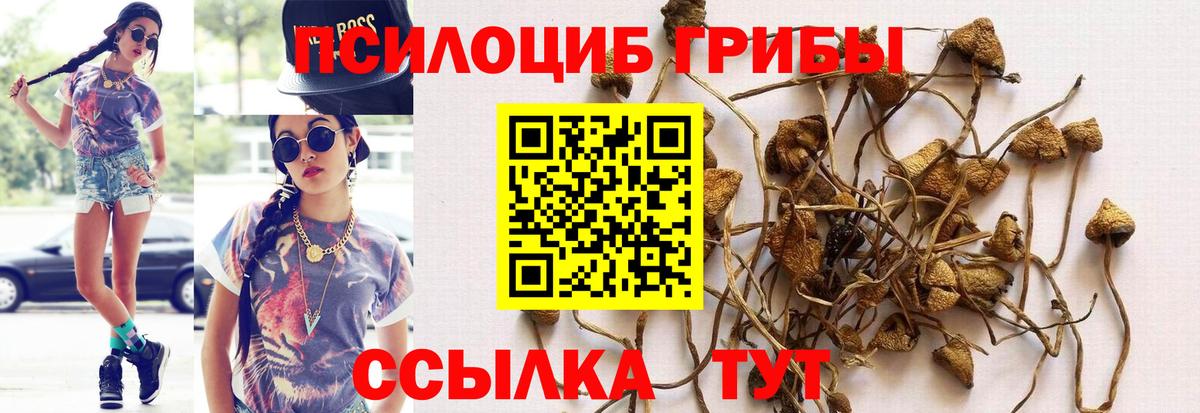 Псилоцибиновые грибы мицелий  Вход с VPN  Ялта 