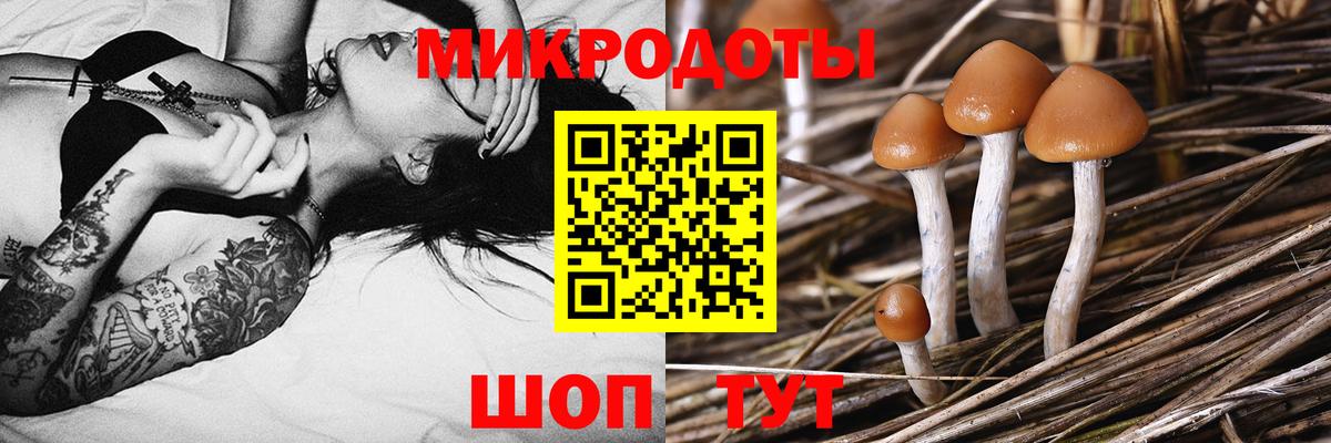 Галлюциногенные грибы MAGIC MUSHROOMS Ялта