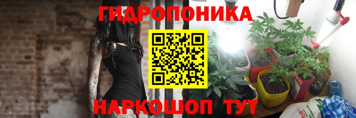Бошки марихуана Bruce Banner  Каннабис индика  Вход с VPN  Ялта 